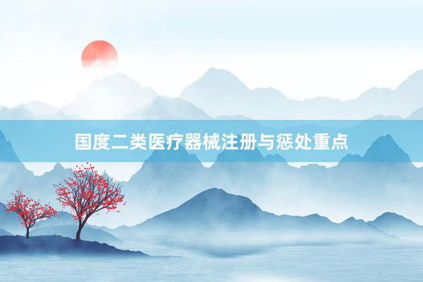 国度二类医疗器械注册与惩处重点