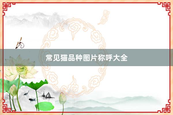 常见猫品种图片称呼大全