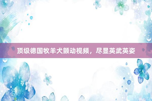 顶级德国牧羊犬颤动视频,尽显英武英姿